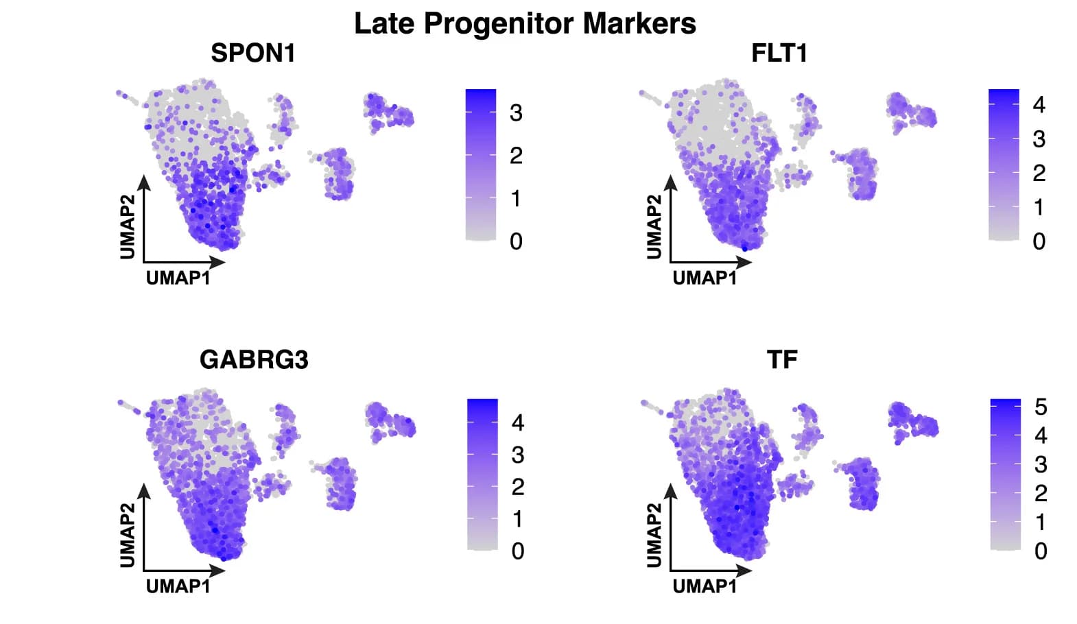 Open access visualization of UMAP, Progenitor Cells, Gene Expression, Marker Genes, Late Progenitor Cells