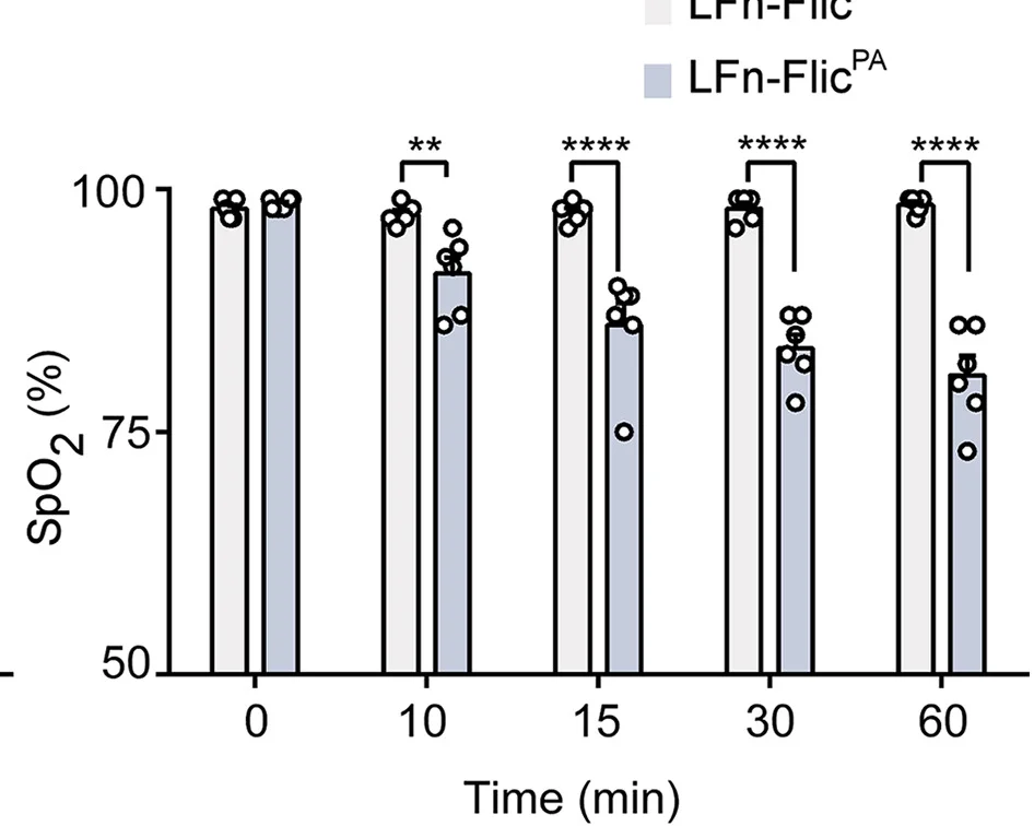 Open access visualization of Bar Plot, Error Bars, Clustered, Scatter Plot, WT Mice
