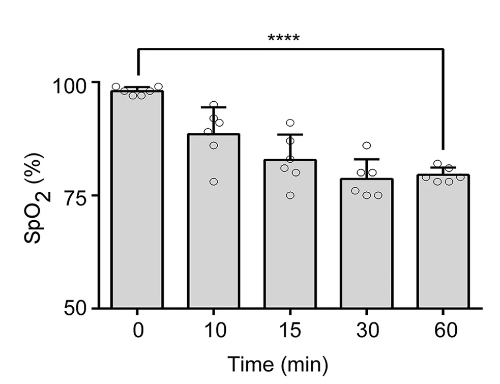 Open access visualization of Bar Plot, Error Bars, WT Mice, LFn-EprJ/PA, Arterial Oxygen Saturation