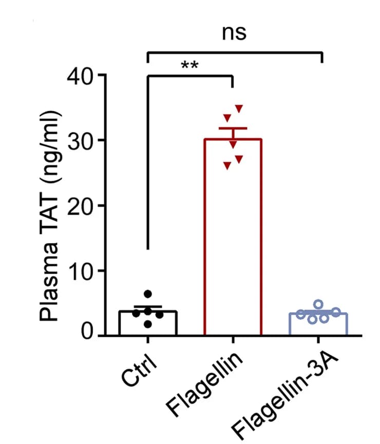 Open access visualization of Bar Plot, Error Bars, Scatter Plot, WT Mice, Intravenous Injection
