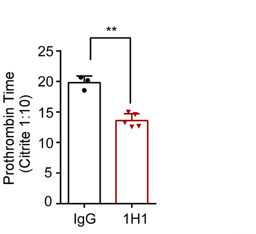 Open access visualization of Bar Plot, Error Bars, WT Mice, Intravenous Injection, Rat Immunoglobulin G