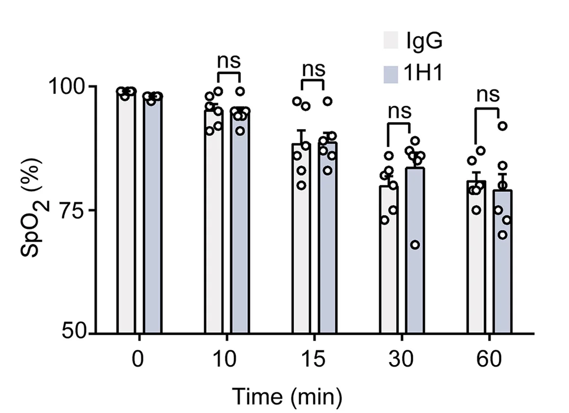 Open access visualization of Bar Plot, Clustered, Scatter Plot, WT Mice, Intravenous Injection