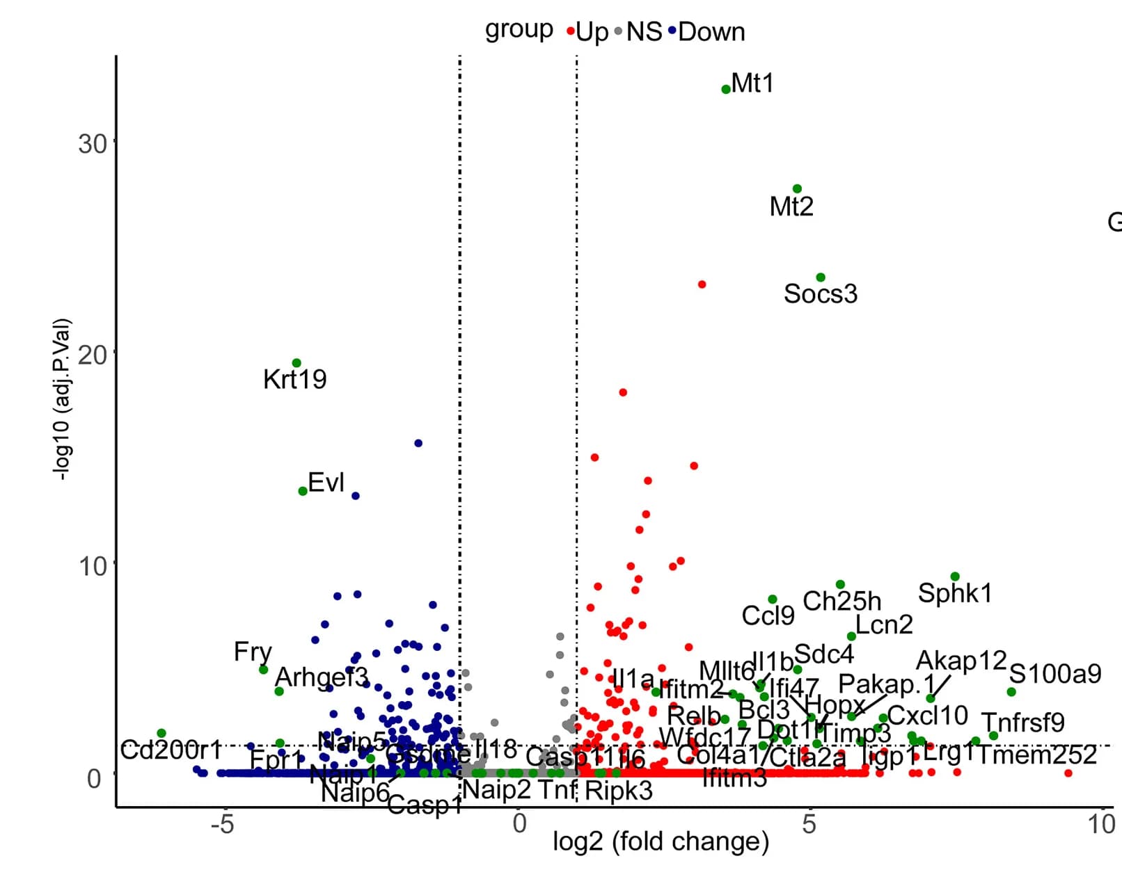 Open access visualization of Volcano Plot, Scatter Plot, Gene Expression, Lipofibroblast, Flagellin