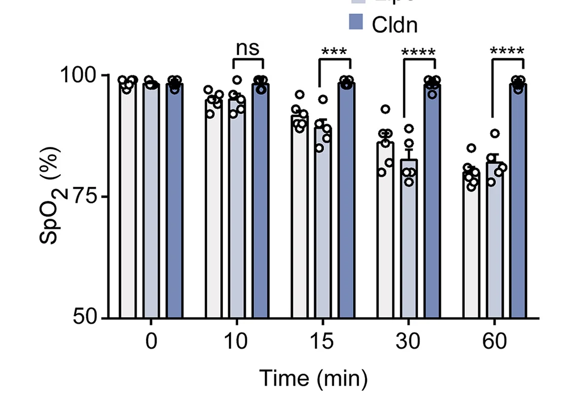 Open access visualization of Bar Plot, Scatter Plot, Error Bars, Casp1−/− Mice, PBS
