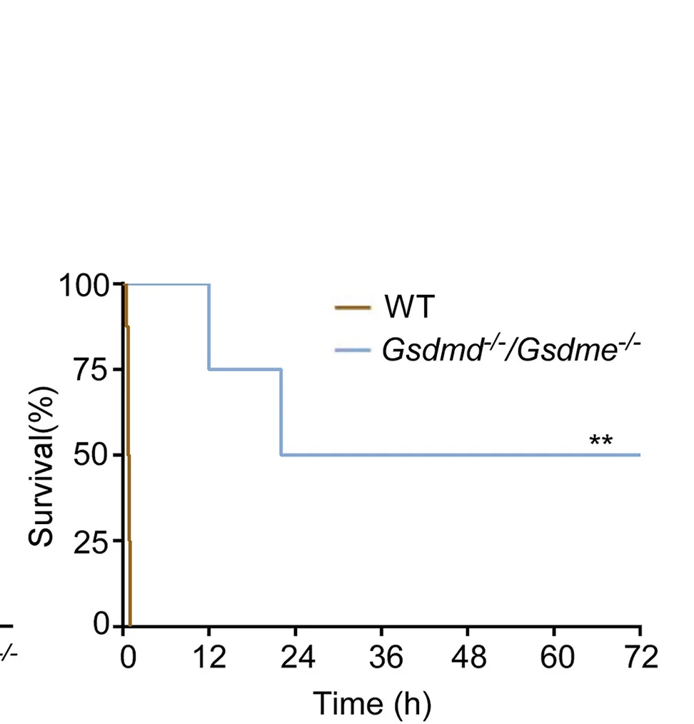 Open access visualization of Line Step, Survival Curve, WT Mice, GSDMD−/−/GSDME−/− Mice, LFn-flagellin/PA
