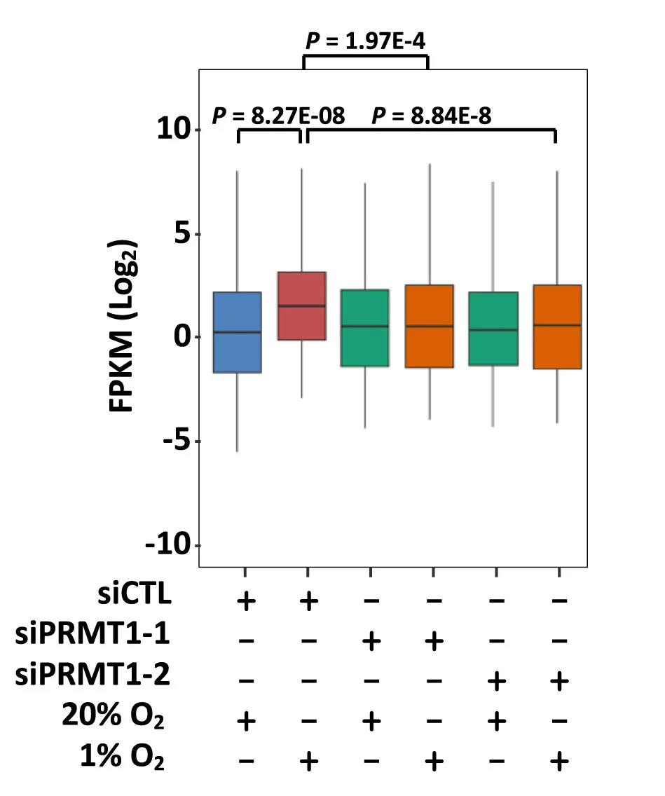 Open access visualization of Box Plot, Boxplot, Gene Expression, FPKM, Hypoxia