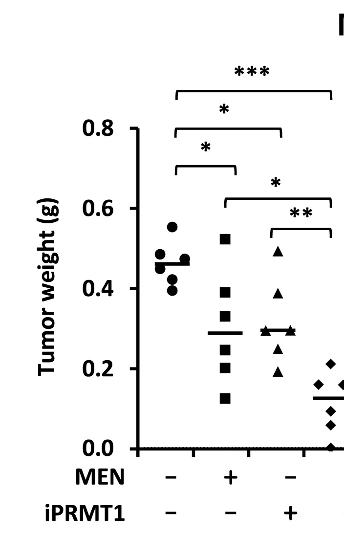 Open access visualization of Scatter Plot, Tumor Weight, Tumors, iPRMT1, MEN