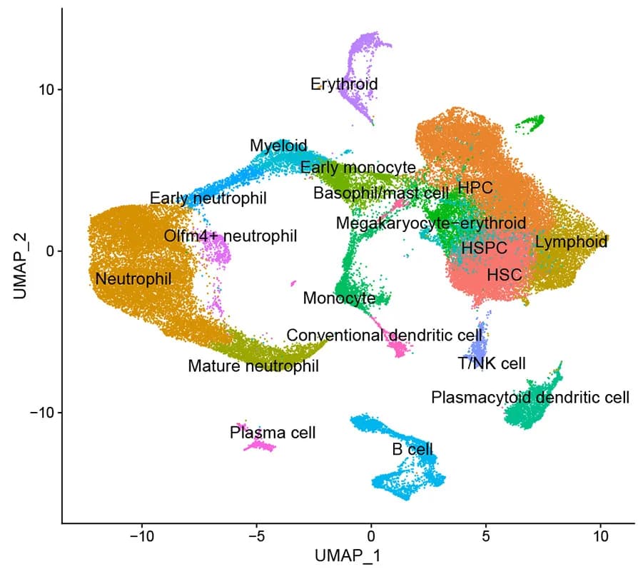 Open access visualization of UMAP, Single-Cell RNA Sequencing, LSK Cells, Cell Clusters, Hematopoietic Progenitor Cell