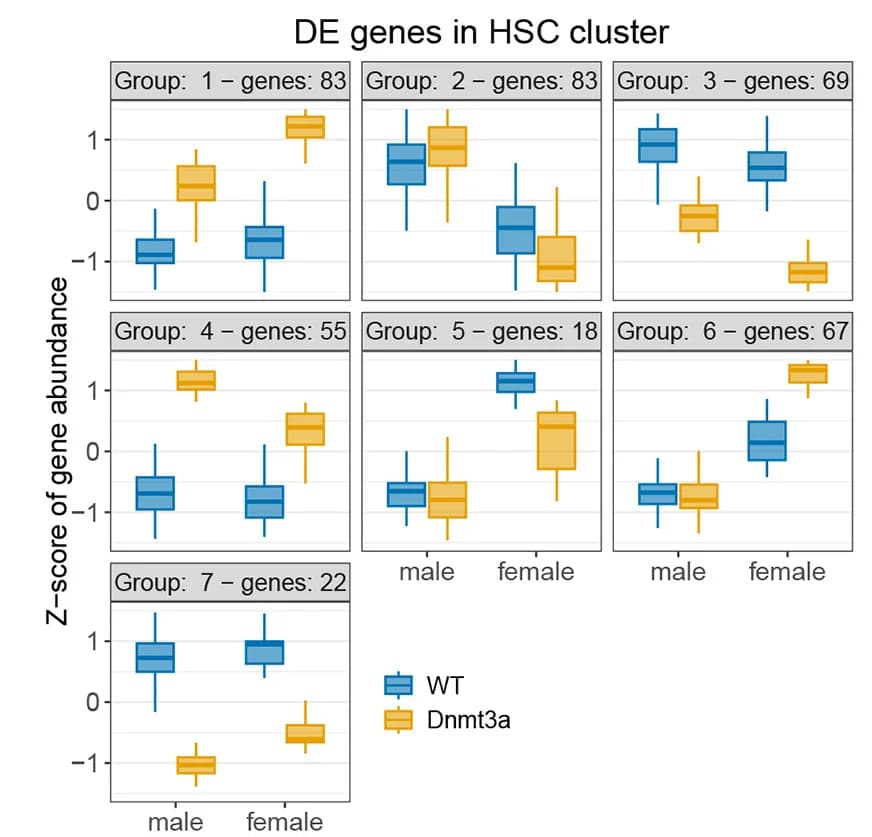 Open access visualization of Box Plot, Differentially Expressed Genes, HSC Cluster, Gene Expression, DEGreport Package