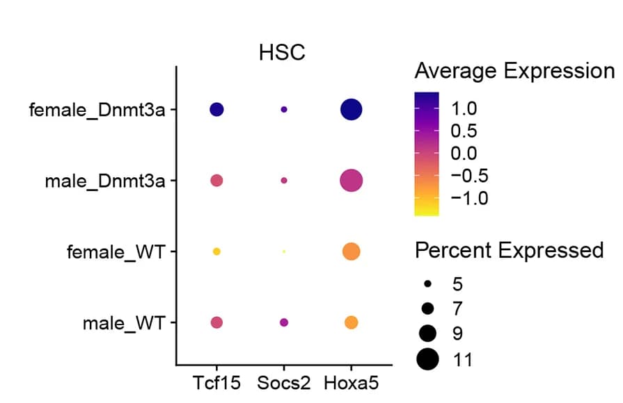 Open access visualization of Bubble Plot, Dnmt3a-mutant HSCs, HSC Self-Renewal, Stemness, Gene Expression