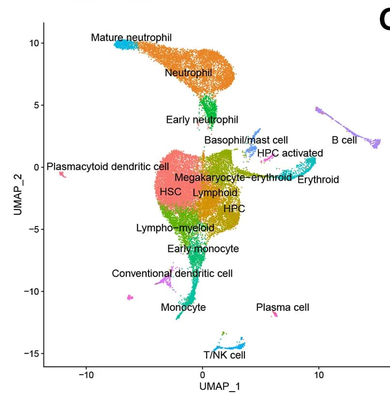 Open access visualization of UMAP, Single-Cell ATAC Sequencing, LSK Cells, Cell Clusters, Dnmt3a-mutant Mice