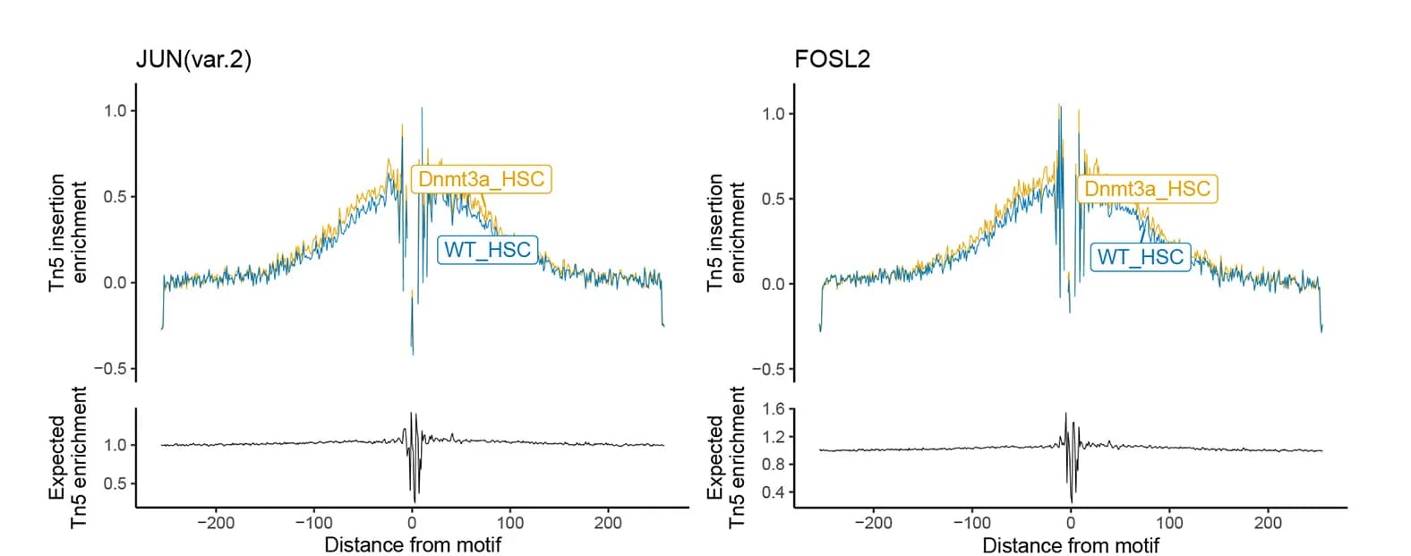 Open access visualization of Line Plot, Transcription Factor Footprinting, AP-1 Family Motifs, Dnmt3a-mutant HSCs, Motif Activity