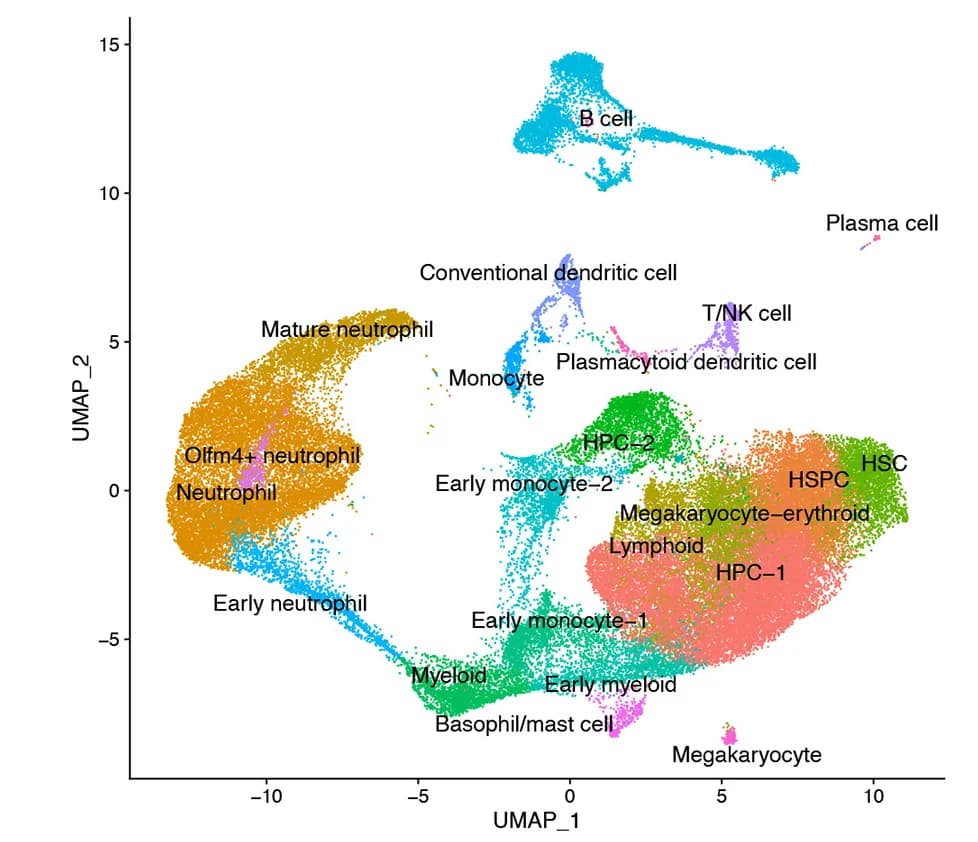 Open access visualization of UMAP, Single-Cell RNA Sequencing, LSK Cells, Ovariectomized Mice, Estrogen