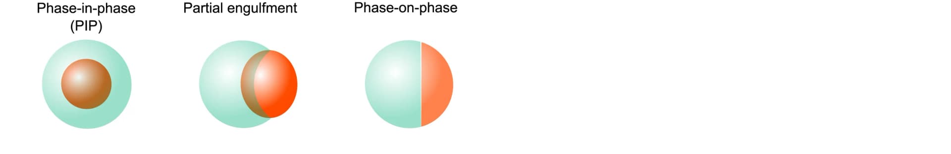 Open access visualization of Illustration, Two-Phase Condensates, Surface Tension, Interfacial Tension, Phase-in-Phase Structures