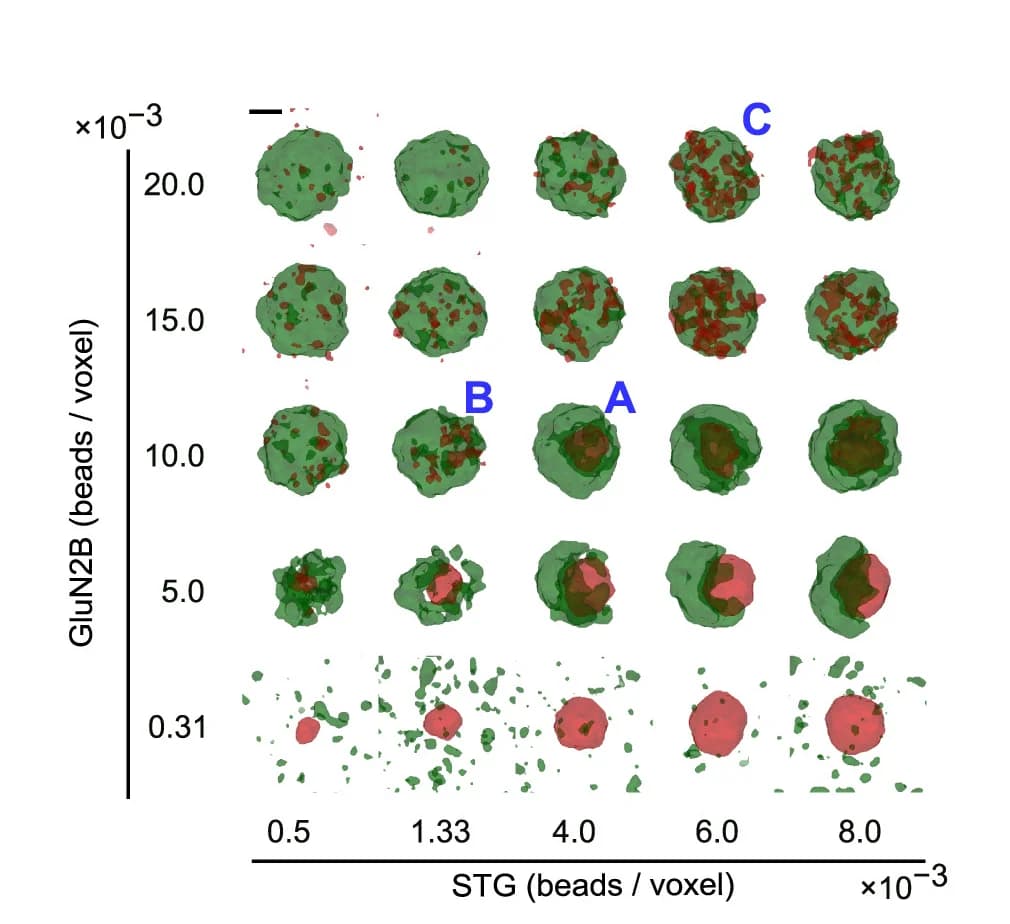 Open access visualization of 3D Plot, LLPS, Concentration Dependence