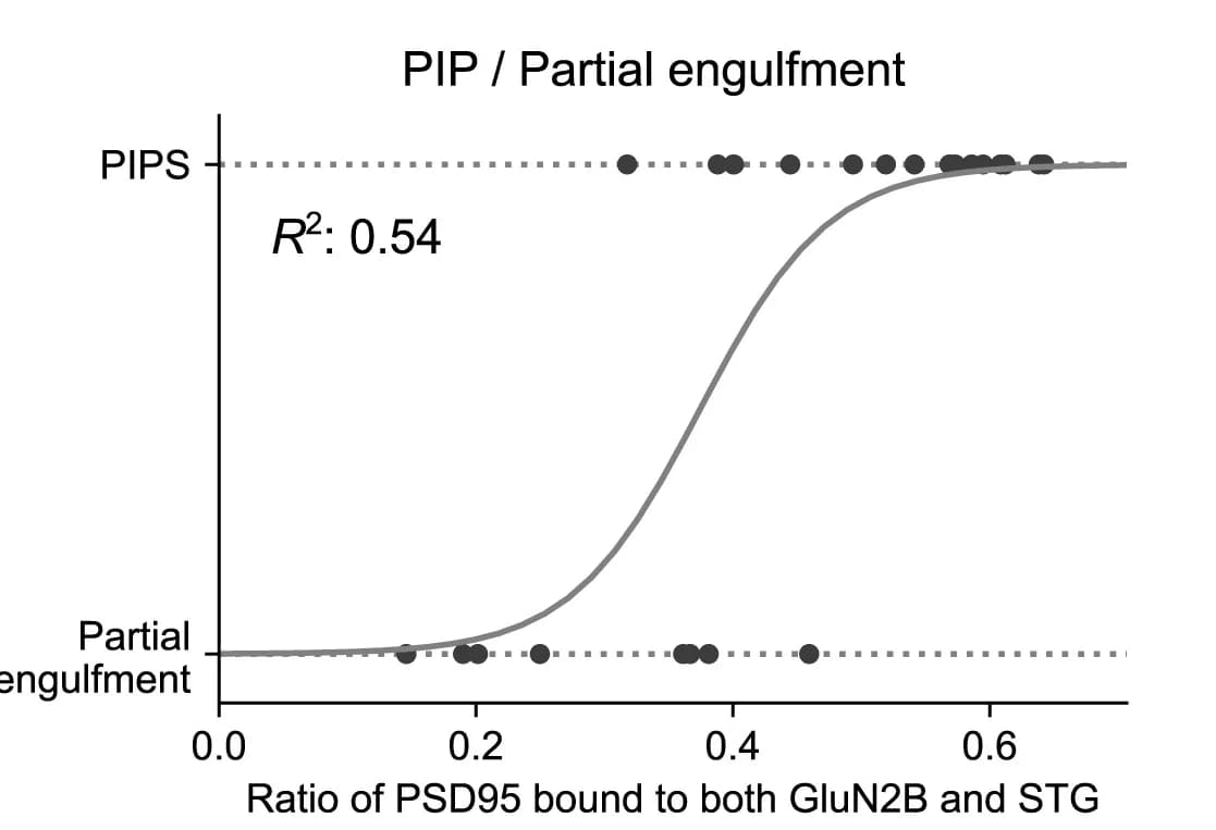 Open access visualization of Scatter Plot, Regression Plot, PSD-95, PIP, Engulfment