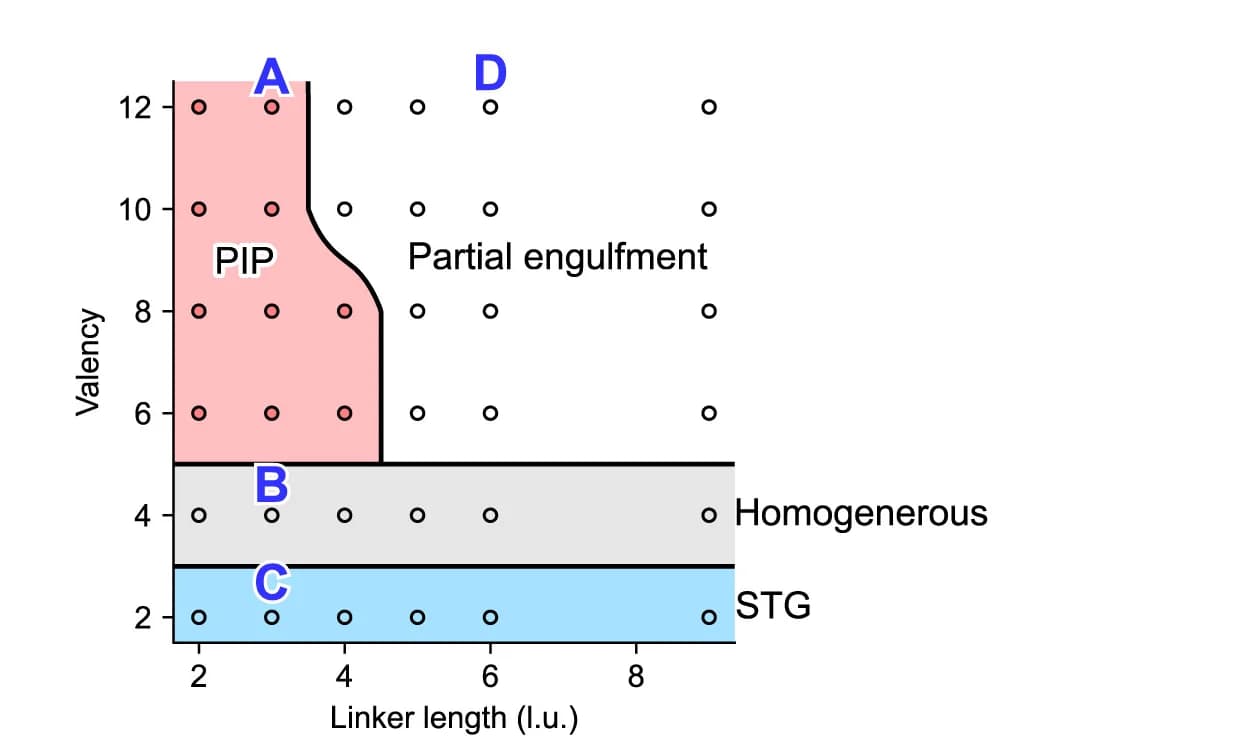 Open access visualization of Scatter Plot, Phase Diagram, LLPS