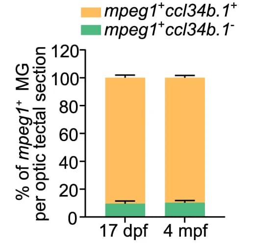 Open access visualization of Stacked Bar Plot, Error Bars, Ratio, Microglia