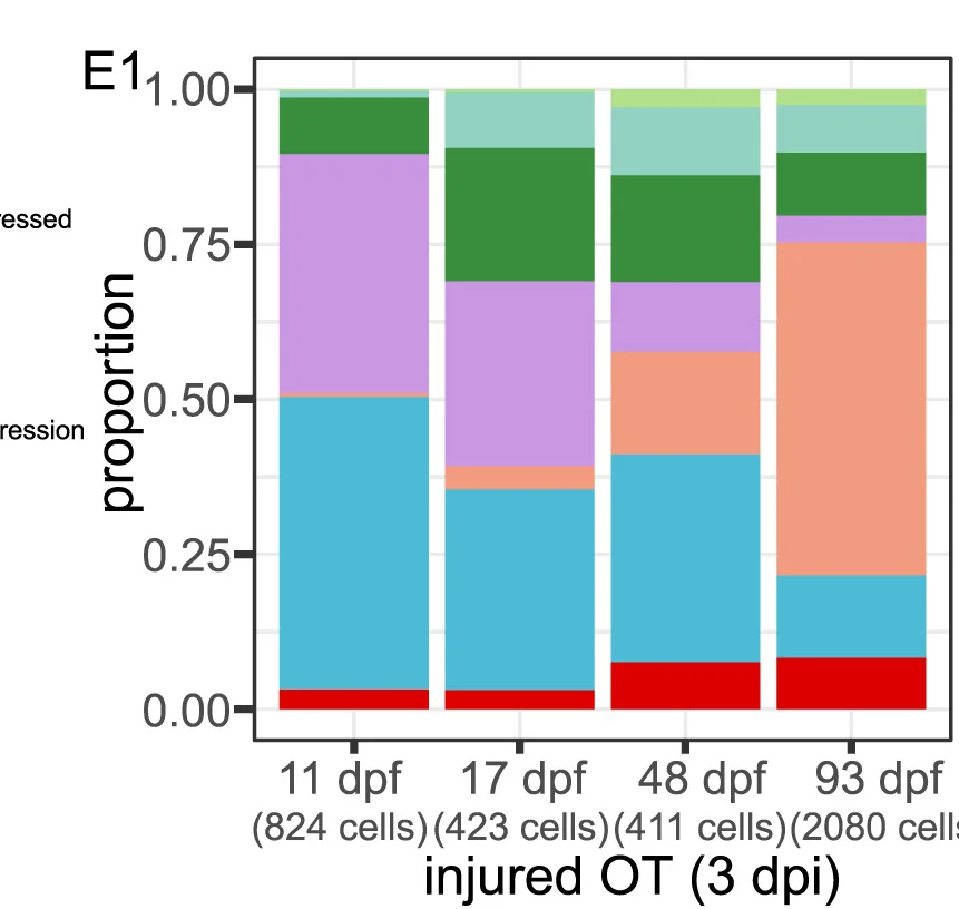 Open access visualization of Stacked Bar Plot, Histograms, Microglial Subtypes, Cell Proportion, Adult