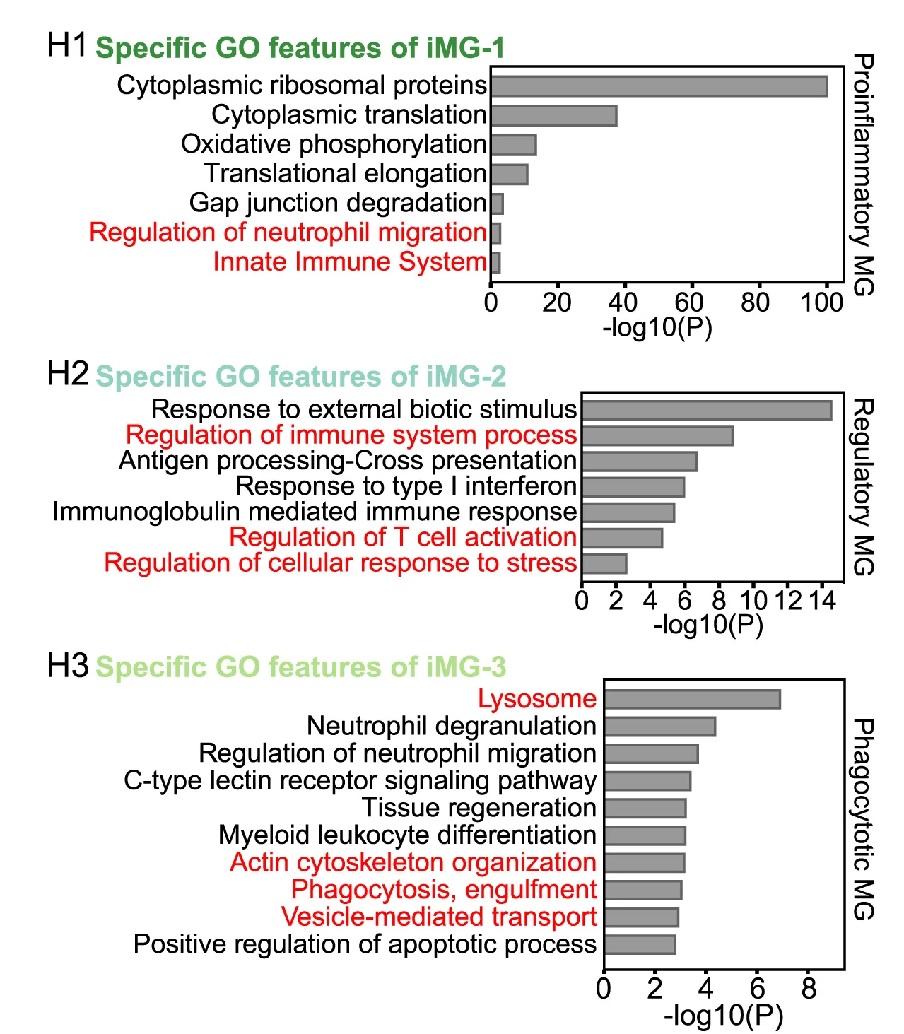 Open access visualization of Bar Plot, Bar Graphs, GO Terms, TBI-Inducible Microglia, DEGs