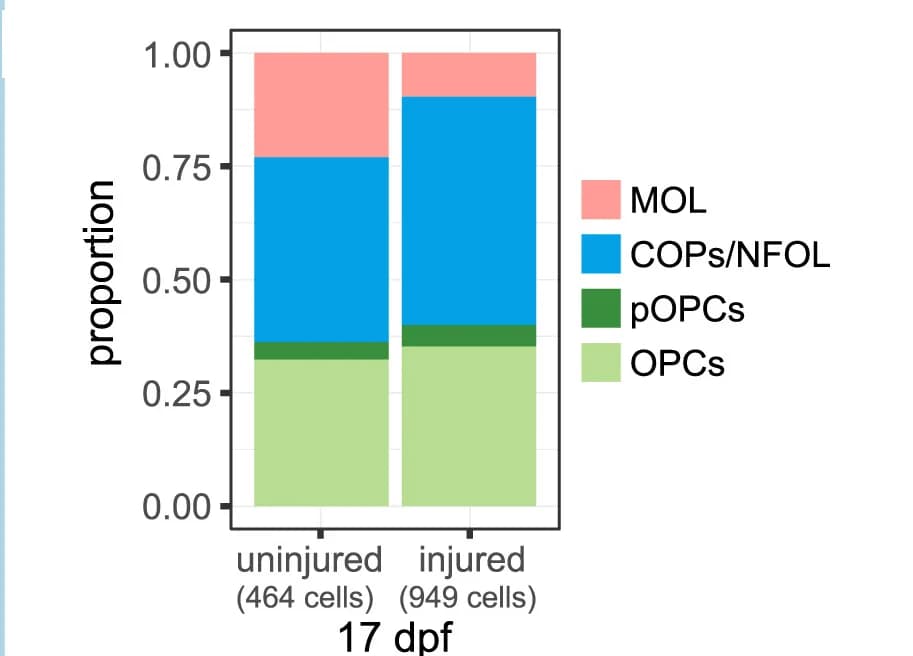 Open access visualization of Stacked Bar Plot, Histogram, Cell Types, Cell Subtypes, Injured
