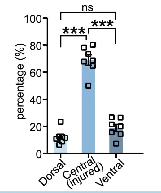 Open access visualization of Bar Plot, Scatter Plot, gpr17, EGFP, COPs