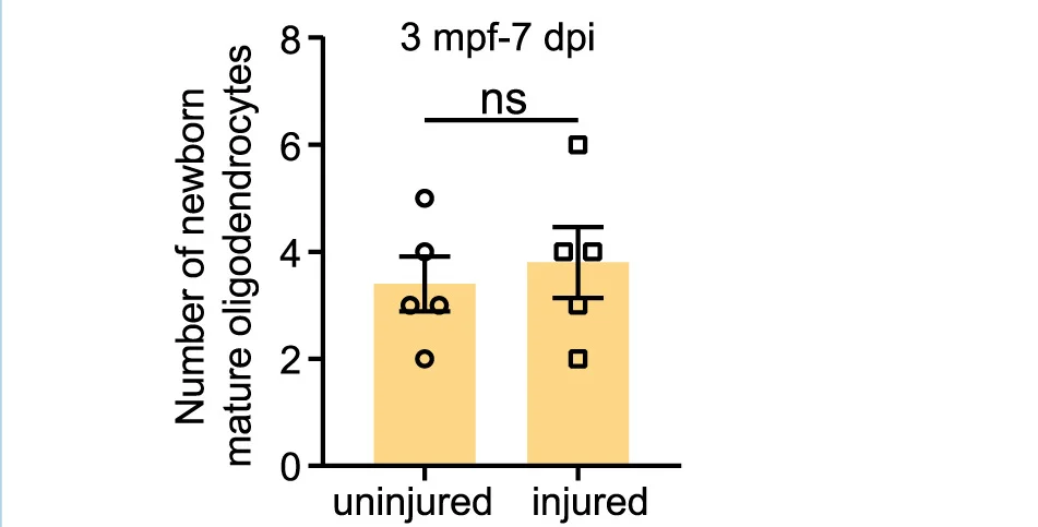Open access visualization of Bar Plot, Error Bars, Scatter Plot, EdU, EGFP