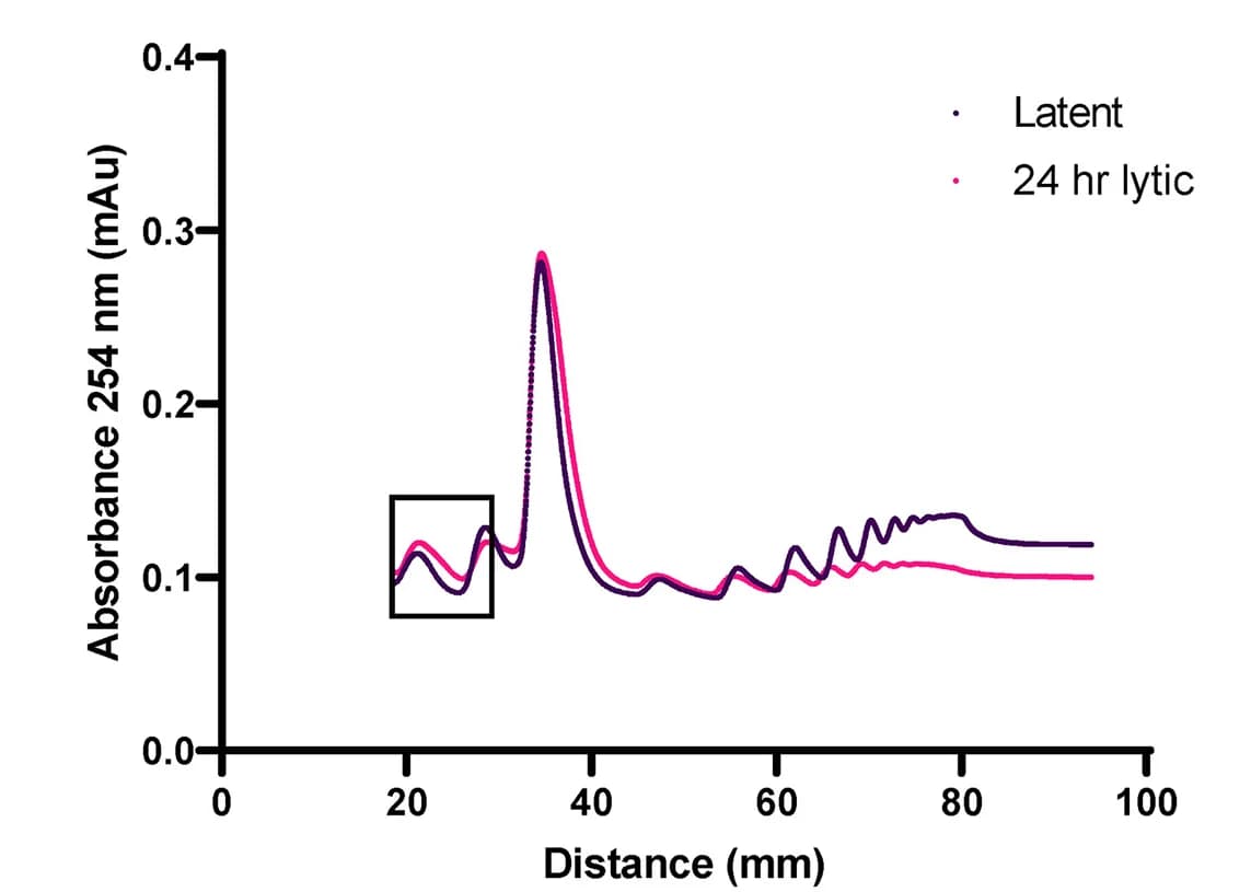 Open access visualization of Line Plot, Aminocarboxyl Propyl Reverse-Transcription PCR, 40S Ribosomal Subunits, Polysome Profiling