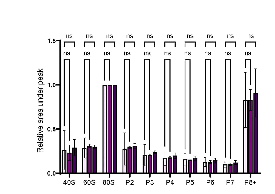 Open access visualization of Bar Plot, Error Bars, Clustered, Densitometry Analysis, Polysome Fraction