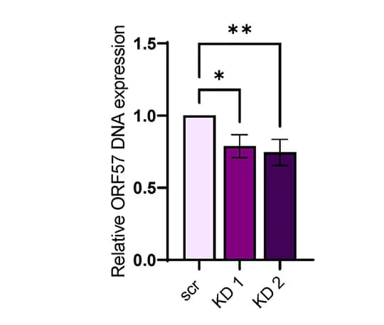 Open access visualization of Bar Plot, Error Bars, TREx-BCBL1-Rta Cells, EMG1, Scr Control