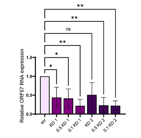 Open access visualization of Bar Plot, Error Bars, Supernatant, Infectious Virions, HEK293T Cells