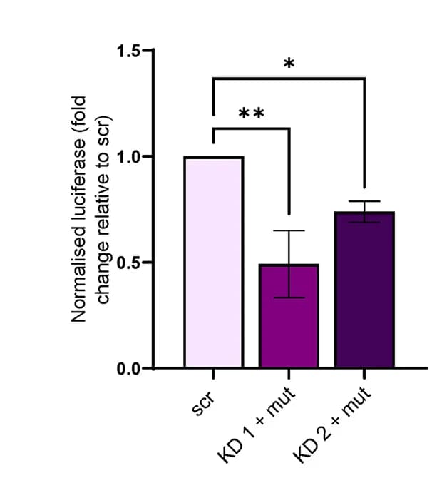 Open access visualization of Bar Plot, Error Bars, Dual-Luciferase Reporter, 5' Untranslated Region, ORF34