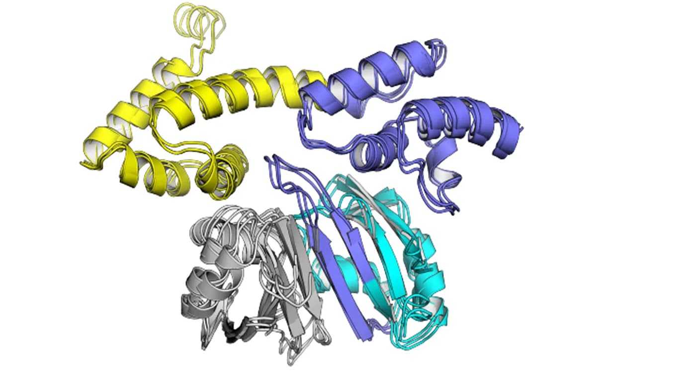 Open access visualization of Protein Structure, HADDOCK, Complexes, ARC, PABPN1