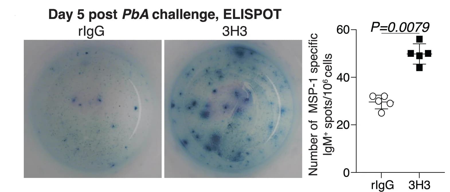 Open access visualization of Scatter Plot, Photo, Microscopy, MSP-1-19IgM, ELISPOT