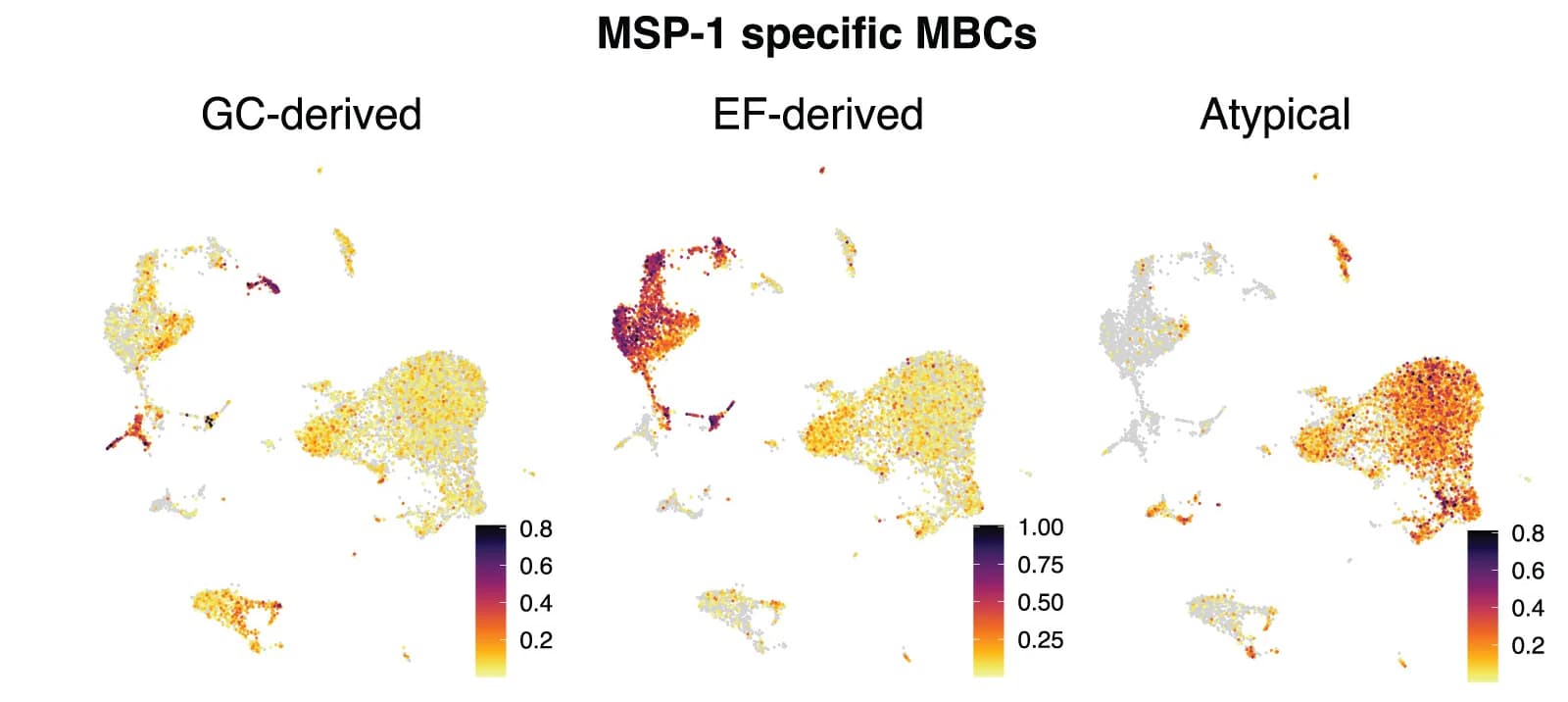 Open access visualization of Scatter Plot, UMAP, PCA, Gene Signatures, MBCs