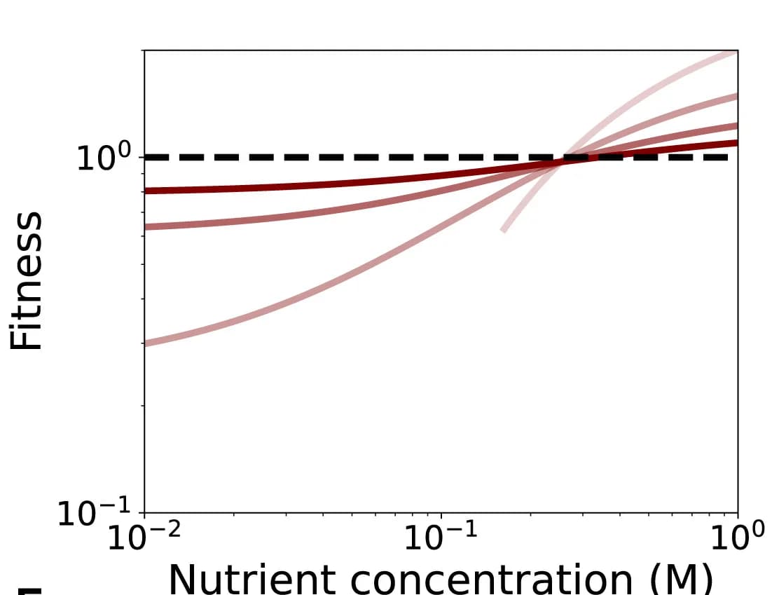 Open access visualization of Line Plot, Nutrient Concentration, Vesicle Radius, Pinocytosis Cost, Nutrient Transport Rate