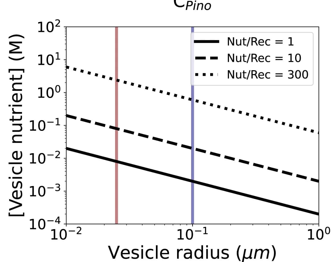 Open access visualization of Line Plot, Vesicle Receptors, Vesicle Nutrient Concentration, Vesicle Radius, Pinocytosis Model