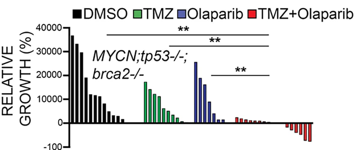 Open access visualization of Bar Plot, Relative Growth, Treatments, NB Cells, Primary Tumors