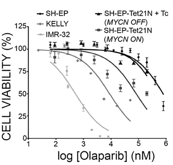 Open access visualization of Line Plot, Error Bars, Cell Viability, NB Cell Lines, Olaparib