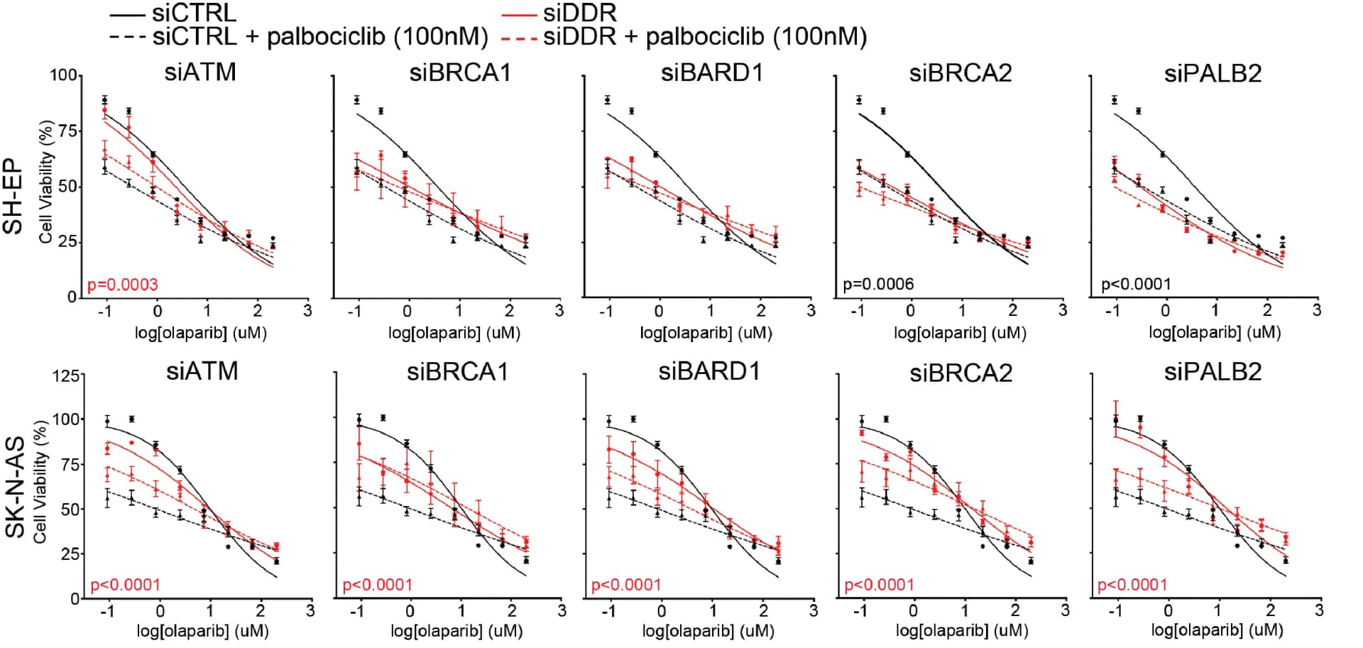 Open access visualization of Line Plot, Error Bars, Cell Viability, NB Cells, siRNA