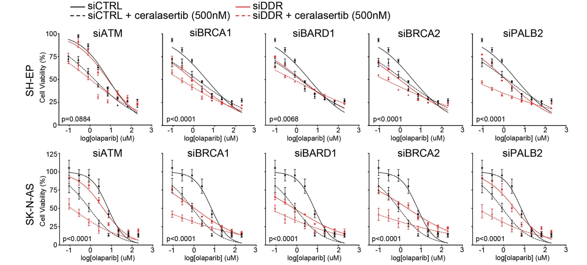 Open access visualization of Line Plot, Error Bars, Cell Viability, NB Cell Lines, siRNA