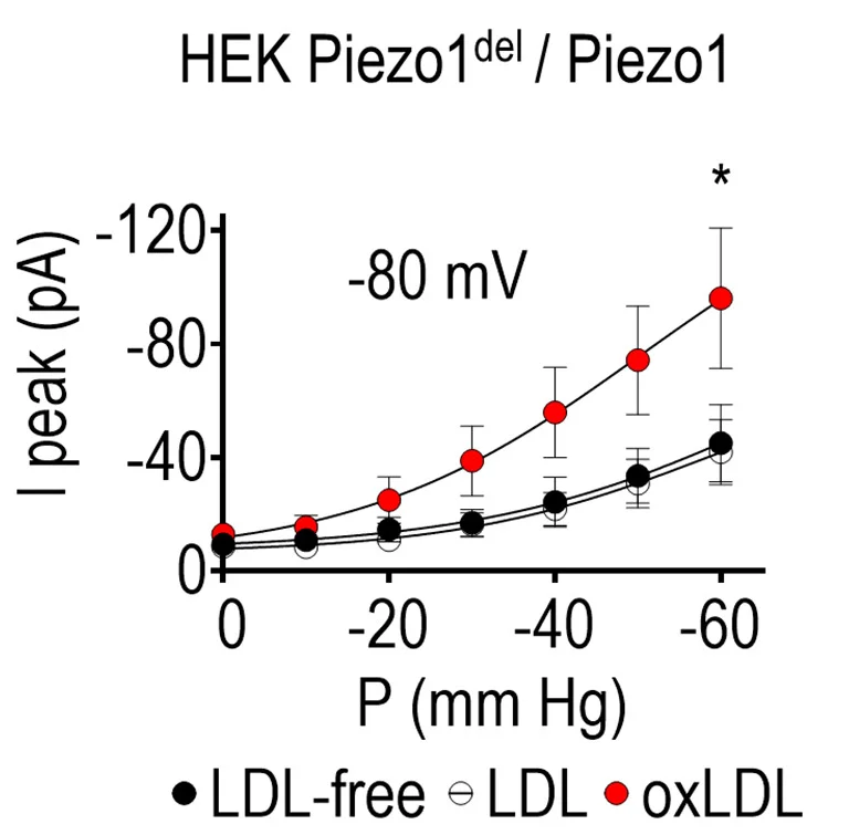 Open access visualization of Line Plot, Error Bars, Pressure-Effect Curves, Inward Current, HEK Piezo1 Knockout Cells