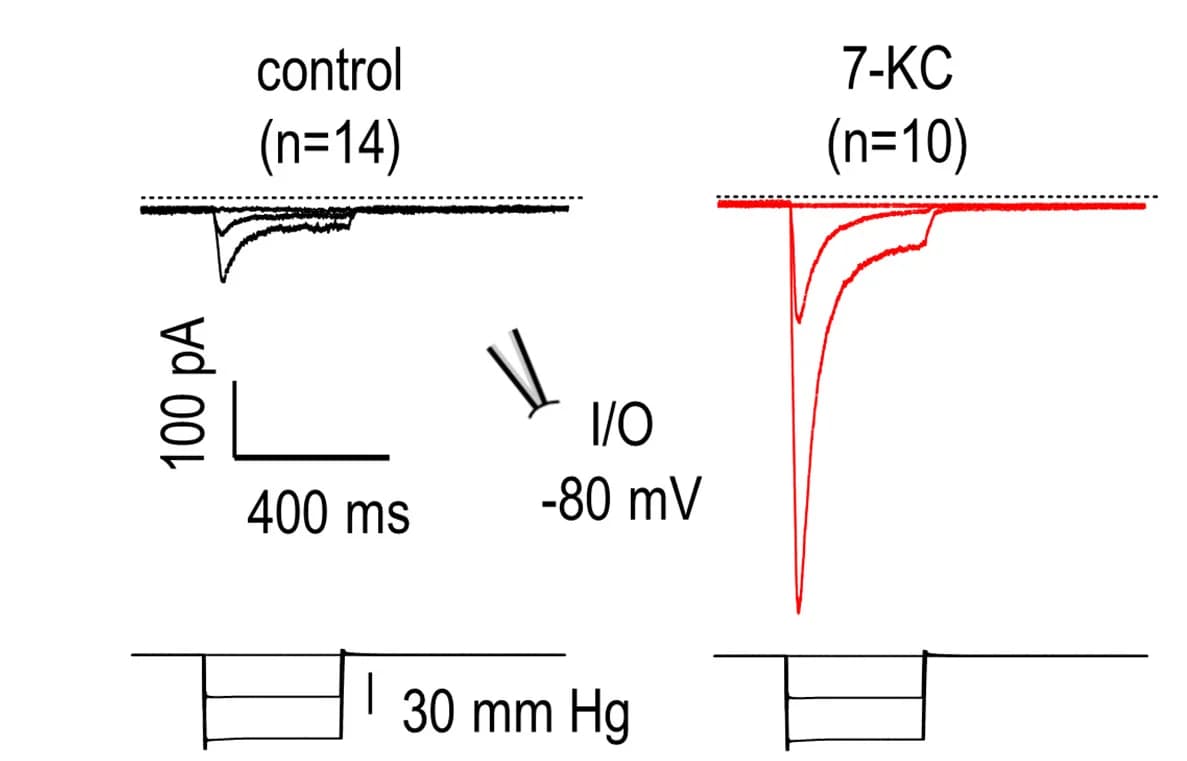 Open access visualization of Line Plot, Line Step, Inside-Out Piezo1 Currents, Pressure Pulses, EtOH