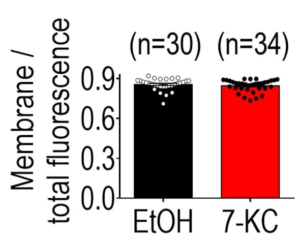 Open access visualization of Bar Plot, Scatter Plot, Membrane Fluorescence, Total Fluorescence, EtOH