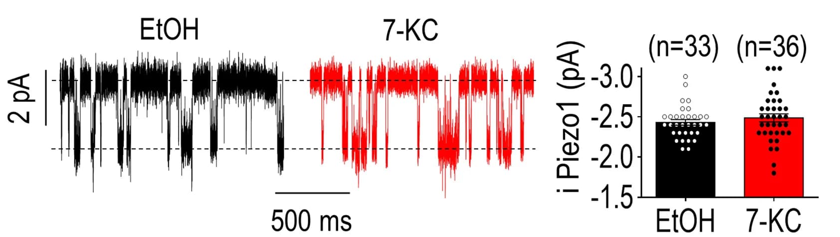 Open access visualization of Bar Plot, Scatter Plot, Line Plot, Piezo1 Channel, Current Amplitude