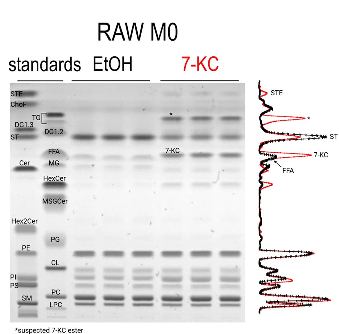 Open access visualization of Gel, Line Plot, Density Plot, Lipids, RAW M0 Extracts