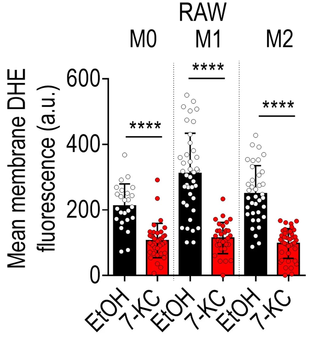 Open access visualization of Bar Plot, Error Bars, Scatter Plot, RAW Cells, DHE/MBCD Complex