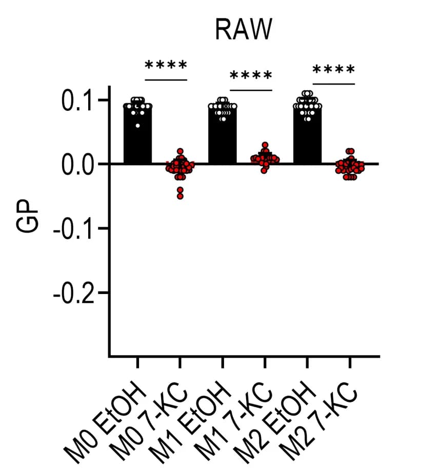 Open access visualization of Bar Plot, Scatter Plot, Error Bars, GP Values, BMDMs