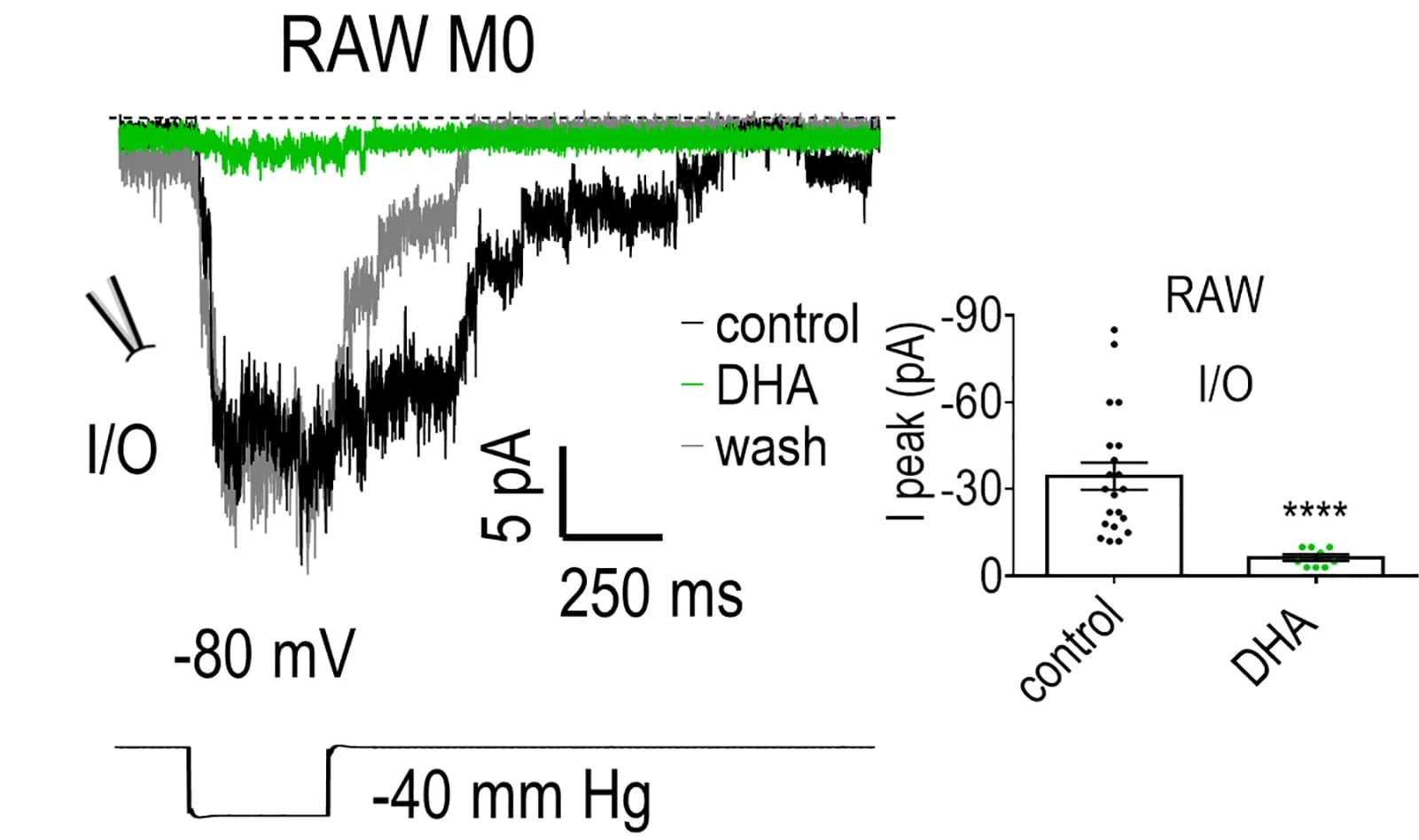 Open access visualization of Line Plot, Bar Plot, Error Bars, RAW M0, Histograms