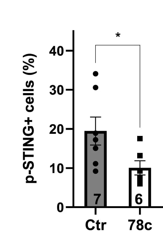 Open access visualization of Bar Plot, Error Bars, Scatter Plot, Quantification, Lung Sections